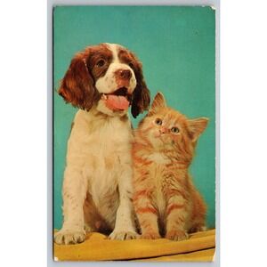 PALS Vintage Postcard Springer Spaniel Puppy Orange Tabby Kitten Hancock NY